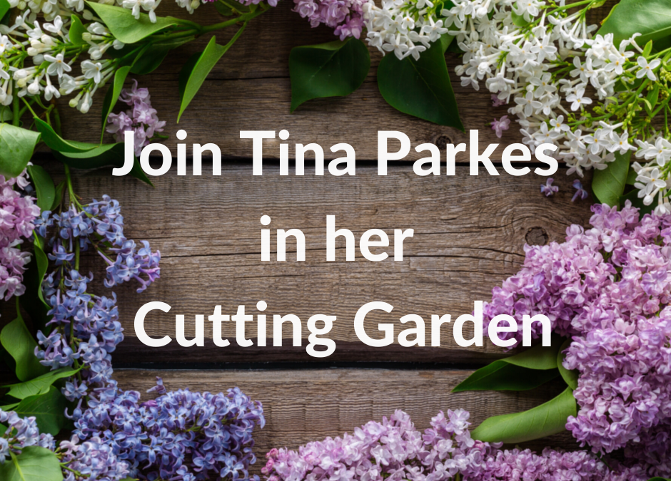 Friday Floral Focus- Tina’s Cutting Garden 29.5.2020